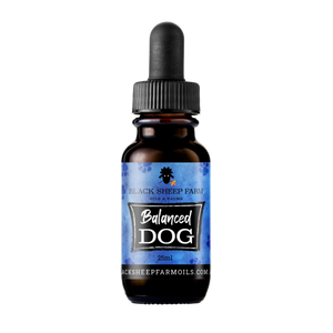 Balanced Dog – Pet Hemp Oil - Sydney Vape Supply