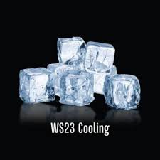 WS-23 Cooling Agent 30ml - Sydney Vape Supply